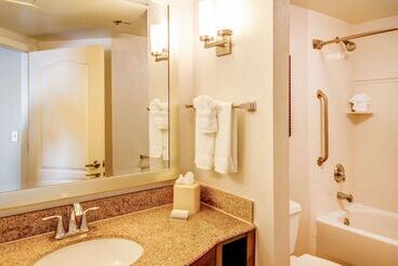 هتل Hilton Garden Inn Tampa Ybor Historic District