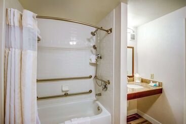 هتل Hilton Garden Inn Tampa Ybor Historic District