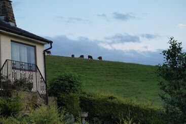 Cobden View