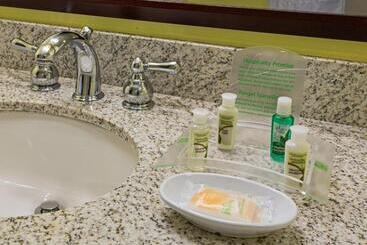 Holiday Inn Hotel French Quarter Chateau Lemoyne, An Ihg