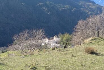 Castaño Real