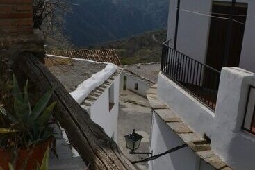 Castaño Real