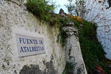 Castaño Real