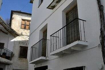 Castaño Real