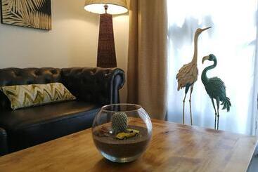 پانسیون Magma Rooms Playa Honda