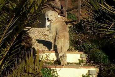تختخواب و صبحانه Casa Colina