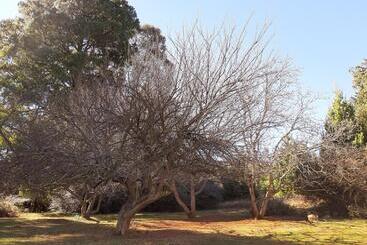 Dabchick Cottage