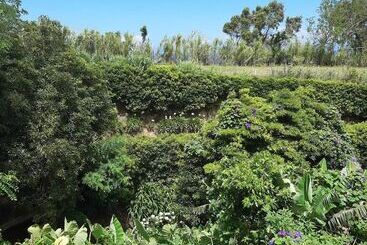 Quinta De São Braz