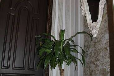 Apartament Oliviya