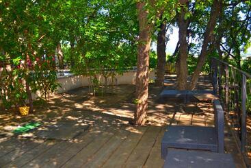 پانسیون Maison De La Vigne