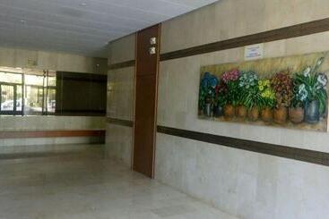 Estudio Ally