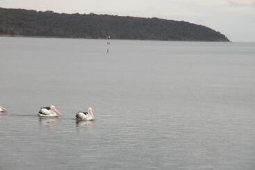 The Anchorage Cottage Kangaroo Island