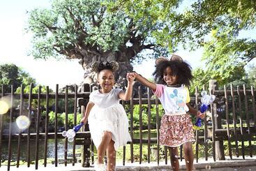 Holiday Inn Resort Orlando   Lake Buena Vista, An Ihg