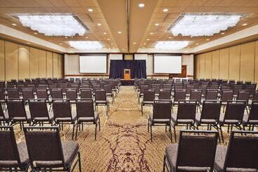 هتل Holiday Inn Rapid City   Rushmore Plaza, An Ihg