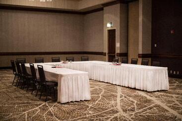 هتل Holiday Inn Rapid City   Rushmore Plaza, An Ihg