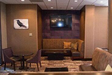 هتل Holiday Inn Rapid City   Rushmore Plaza, An Ihg