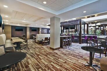 هتل Holiday Inn Rapid City   Rushmore Plaza, An Ihg