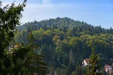 هتل Pensiunea Hilltop