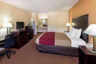 ホテル Econo Lodge Inn & Suites Downtown Northeast Near Fort Sam Houston