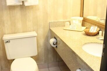 هتل Quality Inn & Suites Detroit Metro Airport