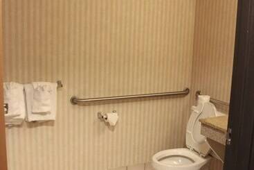 هتل Quality Inn & Suites Detroit Metro Airport