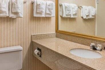 هتل Quality Inn & Suites Detroit Metro Airport