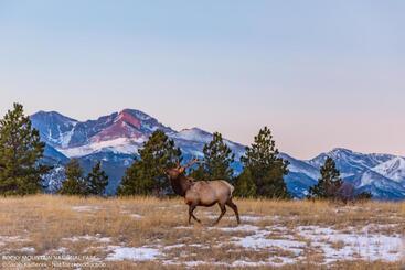 هتل Expedition Lodge Estes Park