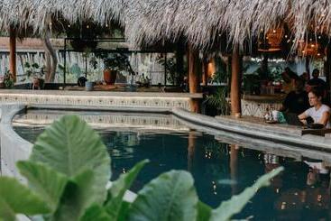 هاستل The Space Jungle Oasis