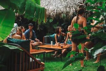 هاستل The Space Jungle Oasis