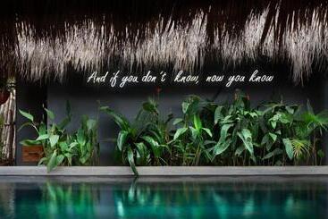 هاستل The Space Jungle Oasis