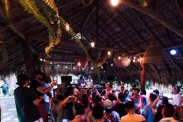 هاستل The Space Jungle Oasis