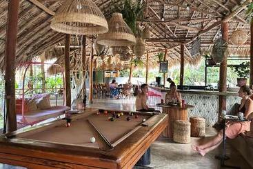 هاستل The Space Jungle Oasis