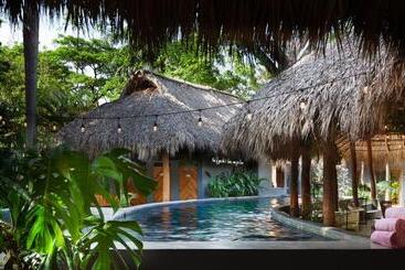 هاستل The Space Jungle Oasis