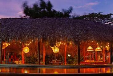 هاستل The Space Jungle Oasis