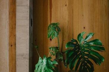 Escondido Oaxaca, A Member Of Design Hotels