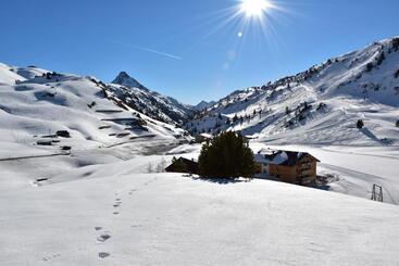 Apart Wolf Arlberg