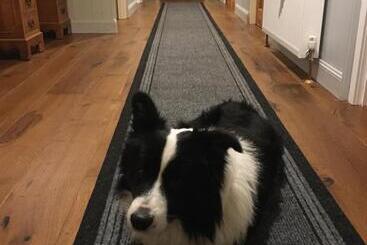 Highland Croft B&b