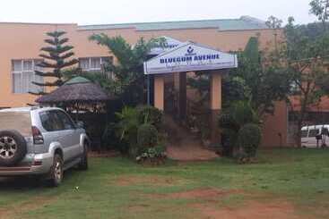 هتل Bluegum Avenue Lodge