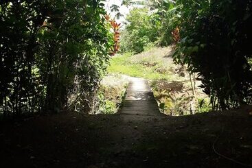 هتل Centro Ecoturistico Rio Chuc Tej