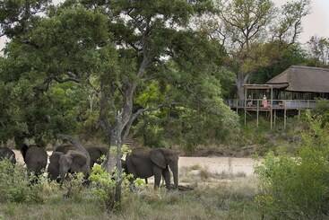 هتل Tanda Tula Safari Camp