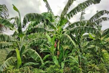 هتل Finca Cuipo