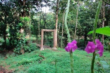 Vanilla Jungle Lodge   Bed & Breakfast