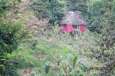 Vanilla Jungle Lodge   Bed & Breakfast