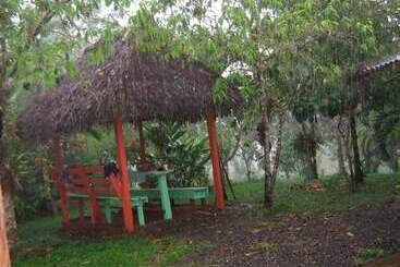 Vanilla Jungle Lodge Bed & Breakfast