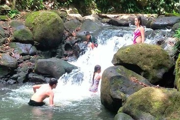 Vanilla Jungle Lodge   Bed & Breakfast
