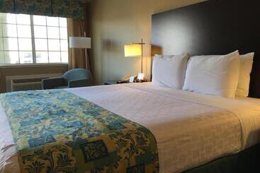هتل Regency Inn At San Francisco Airport