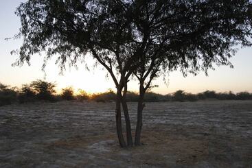 هتل Rann Visamo Village Resort