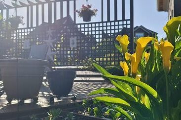 Sunny Island By White Rock B&b