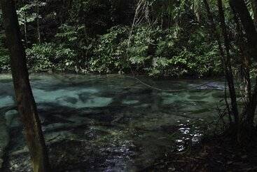 هتل Campamento Rio Lacanja