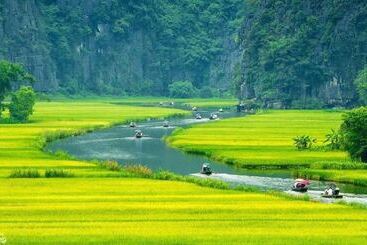 هتل Tam Coc Ngoc Linh Homestay